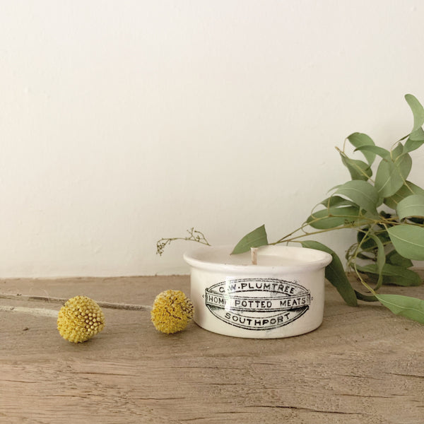 Small Vintage Plumtree Pot Candle in Green Tomato Leaf