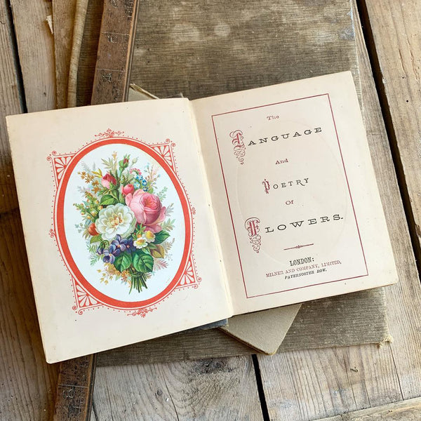 The Language of Flowers Vintage Book