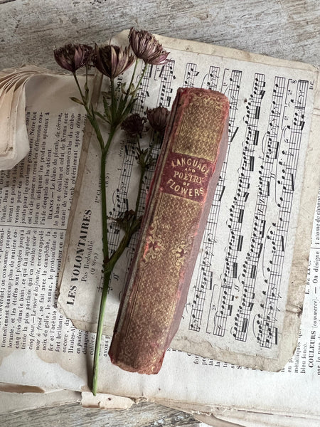 Antique Language of Flowers Book