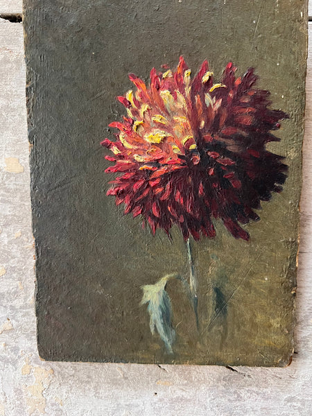 Small Floral Oil on Board