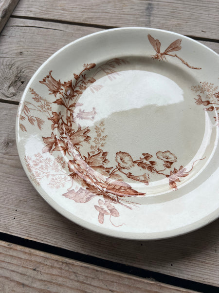 Brown Vintage Floral Plate with Dragonfly