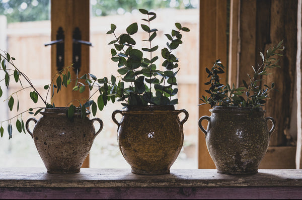 Rustic Golden Yellow Handled French Confit Jar