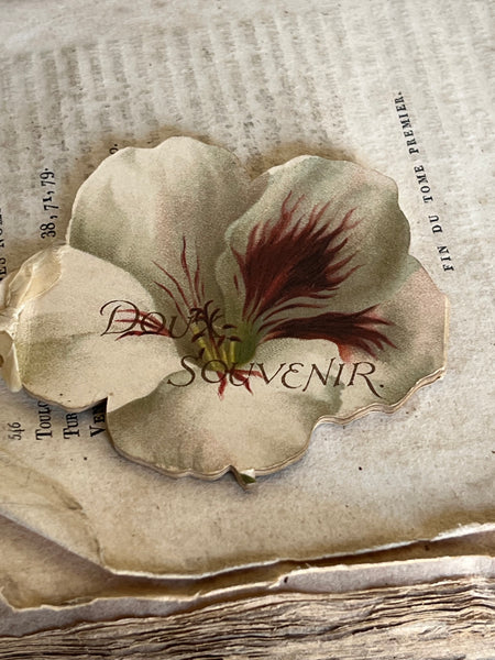 Beautiful Antique French Souvenir Book