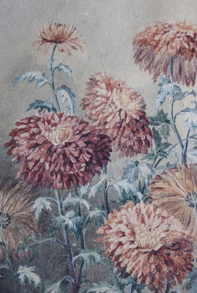 Beautiful Flower Watercolour Painting