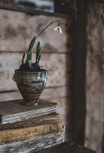 Antique Transferware Chalice