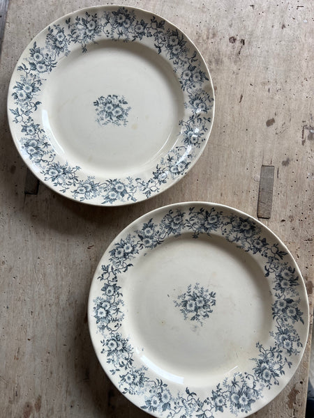 Lovely Longchamp Dishes