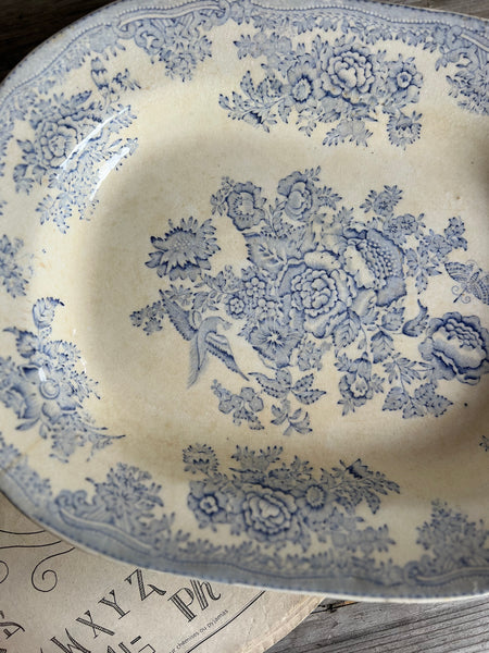 Asiatic Pheasant Dish