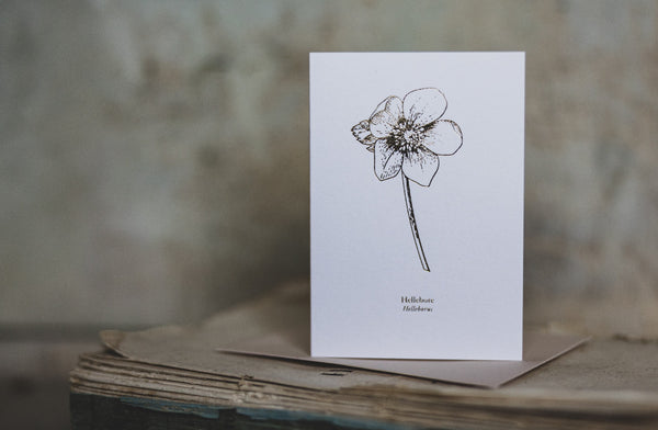 And So It Begins Hellebore "Mini" Card