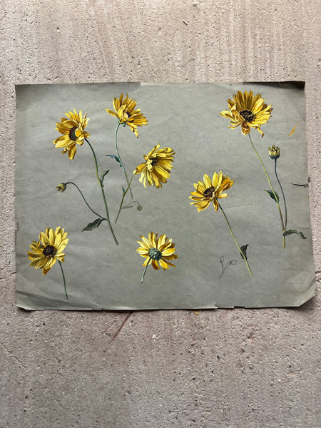 Gorgeous Sunflower Vintage Painting
