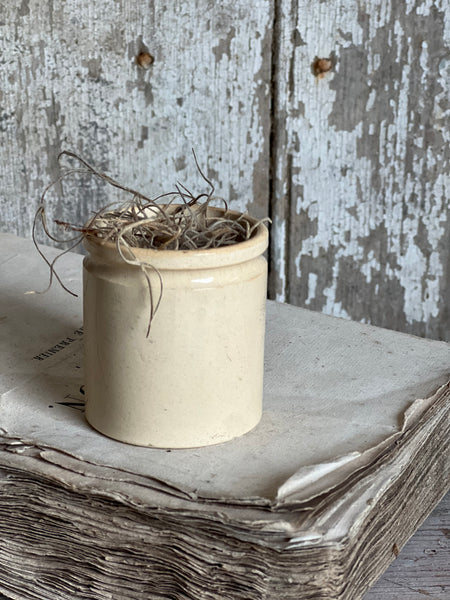 Beautiful French Crock
