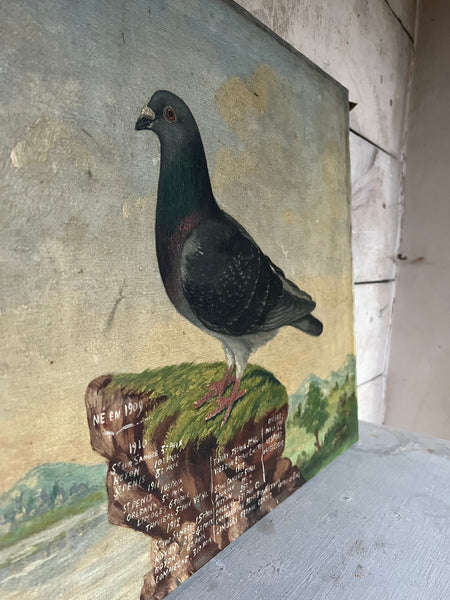 Antique French Pigeon Oil Painting