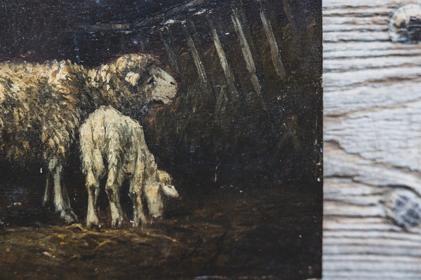 Antique Famous Charles Jacque Barbazion Sheep 1855