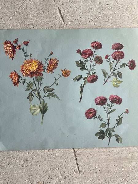 Gorgeous Dahlia Vintage Painting