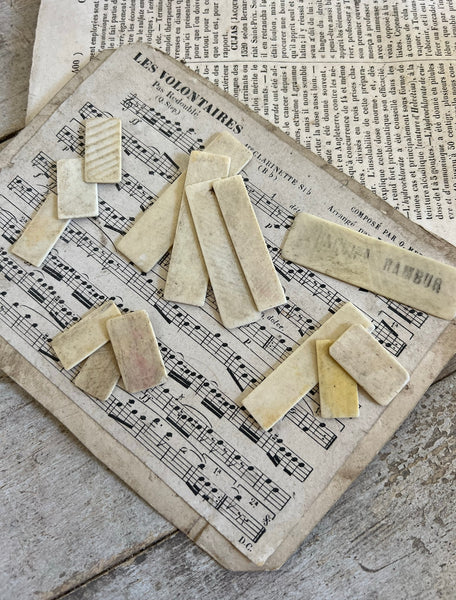 Collection of bone counters