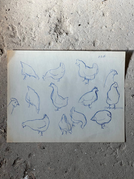 1948 French Chicken Sketch