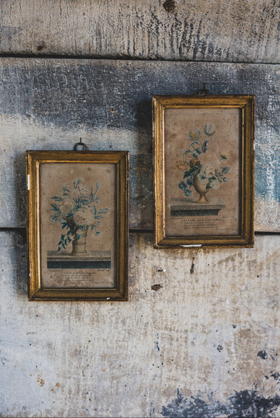 Framed Vintage French Floral Prints