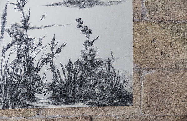 Beautiful Floral Sketch