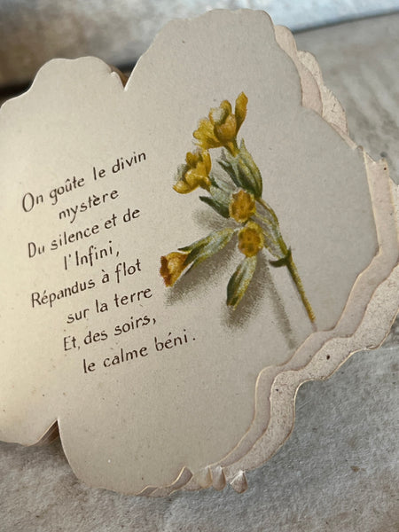 Beautiful Antique French Souvenir Book