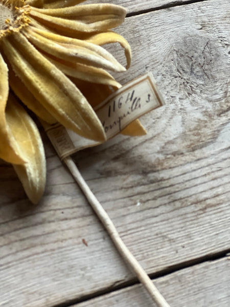 Antique French Yellow Fabric Flower