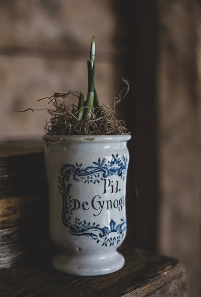 Antique Apothecary Jar