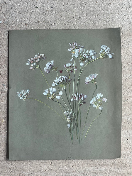 Gorgeous Floral Vintage Painting