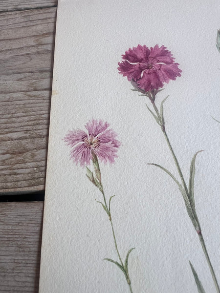 Beautiful Floral Watercolour Painting