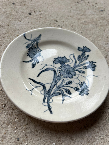 Adorable Mini Plate