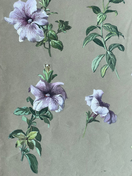 Gorgeous Petunia Vintage Painting