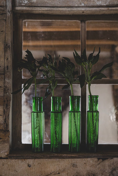 Antique Felix Potin Paris Bottles