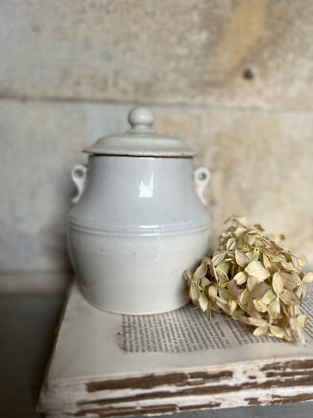 Elegant White French Confit