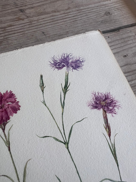 Beautiful Floral Watercolour Painting