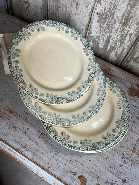 Antique French Conker Transferware Plates