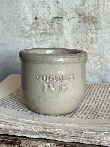 French Sweet Stoneware Yoghurt Pot
