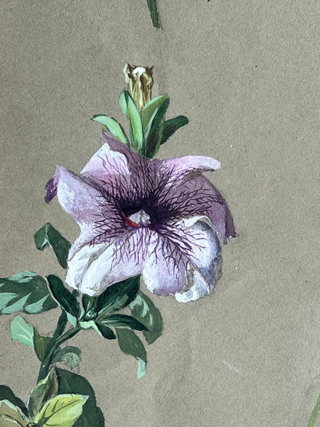 Gorgeous Petunia Vintage Painting