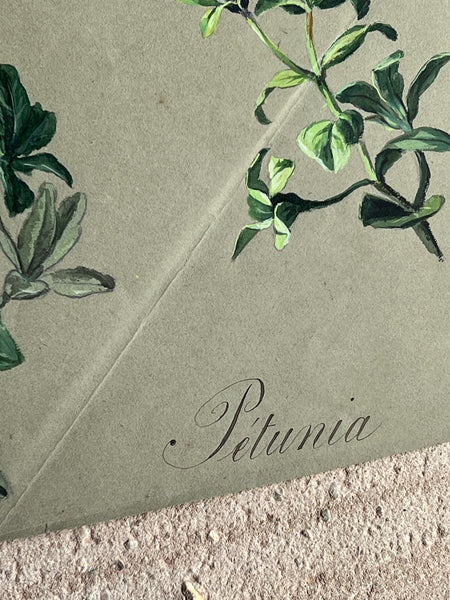 Gorgeous Petunia Vintage Painting