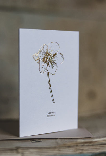 And So It Begins Hellebore "Mini" Card