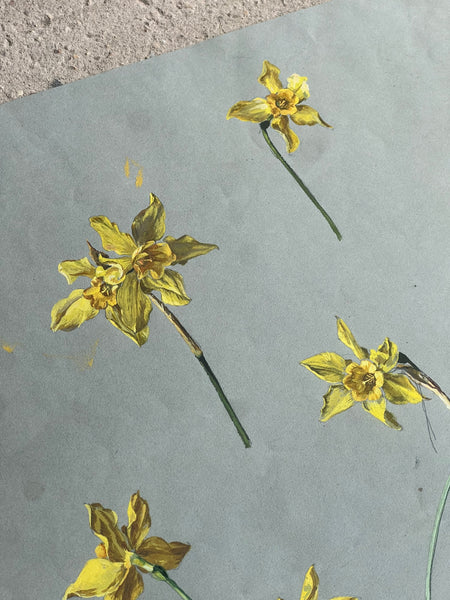 Gorgeous Daffodil Vintage Painting