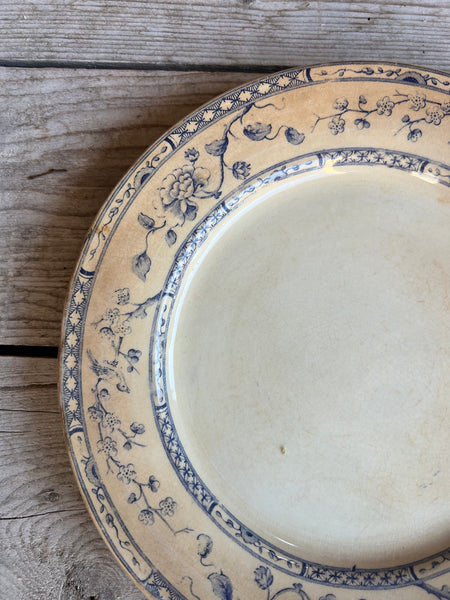 Creil et Montereau Buttery Blue Plate