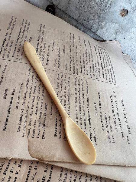 Beautiful Shape Vintage Bone Spoon