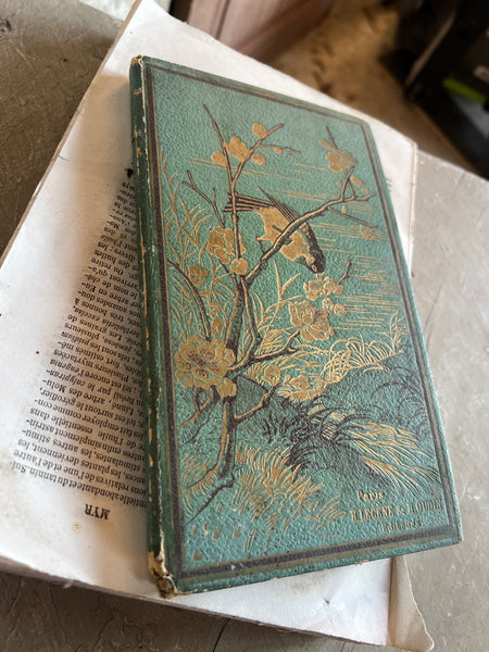 Sweet Vintage French Book 1889