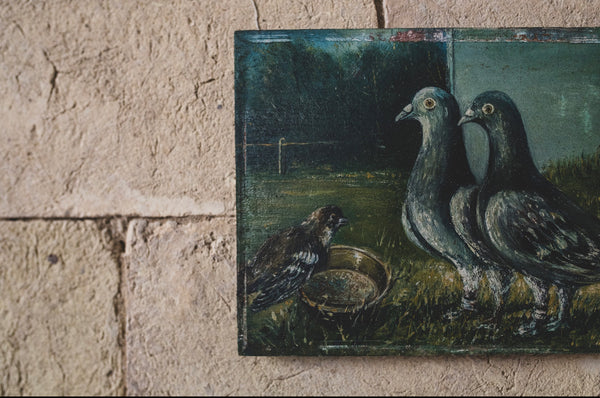 Antique French Pigeon Oil Painting