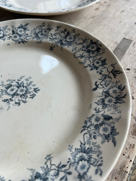 Lovely Longchamp Dishes