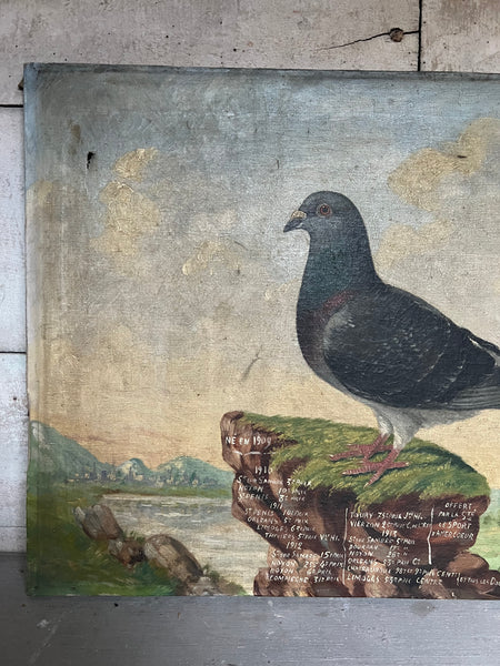 Antique French Pigeon Oil Painting
