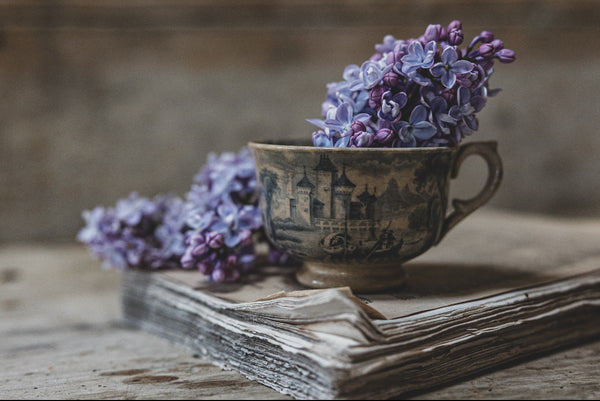 Chateau Scene Rustic Crazed Cup