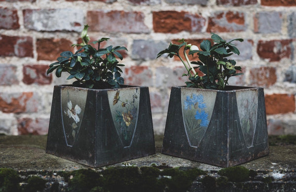 Antique Italian Planters