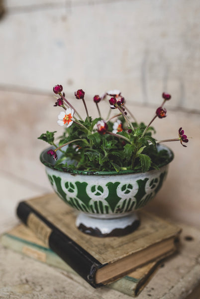 French Vintage Enamel Bowl