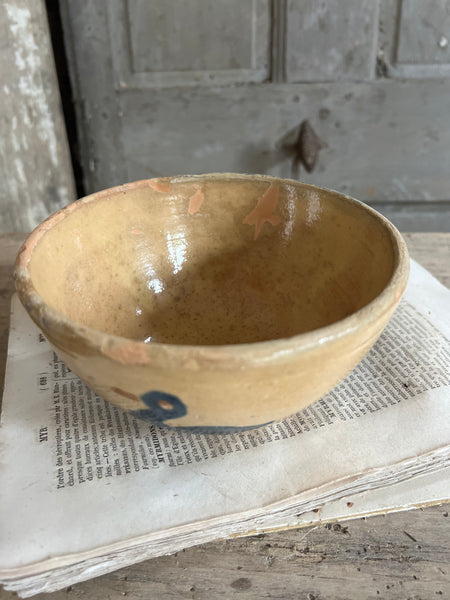 Beautiful Provençal Duck Bowl