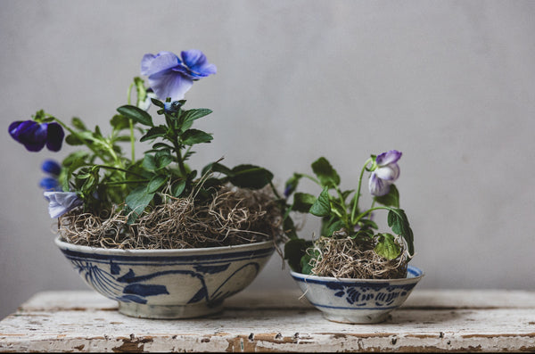 Antique Hand Painted Bowls