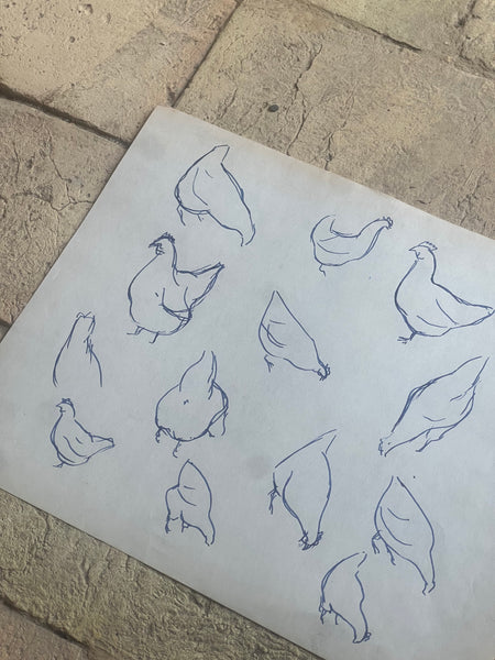 1948 French Chicken Sketch