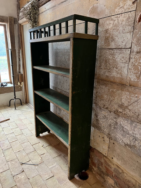 Rustic Chippy Paint Green Book Shelf